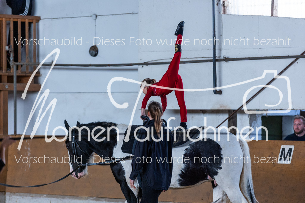 SS-Mini-215 | MomenTaufnahmen Pferdesportfotos