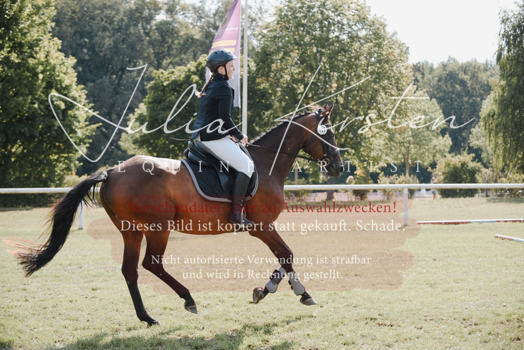 DSC_5260 | Pferde- und Turnierfotografie in Westsachsen. Pferdeportraits, Auftragszeichnungen und intuitive Kunst.