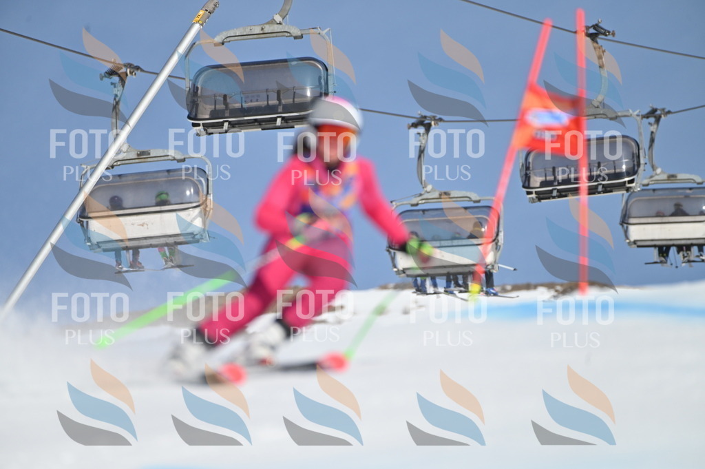 BGV_8717 | holidayphoto