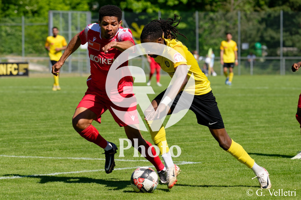 DSC_8329_M | Velletri Photo