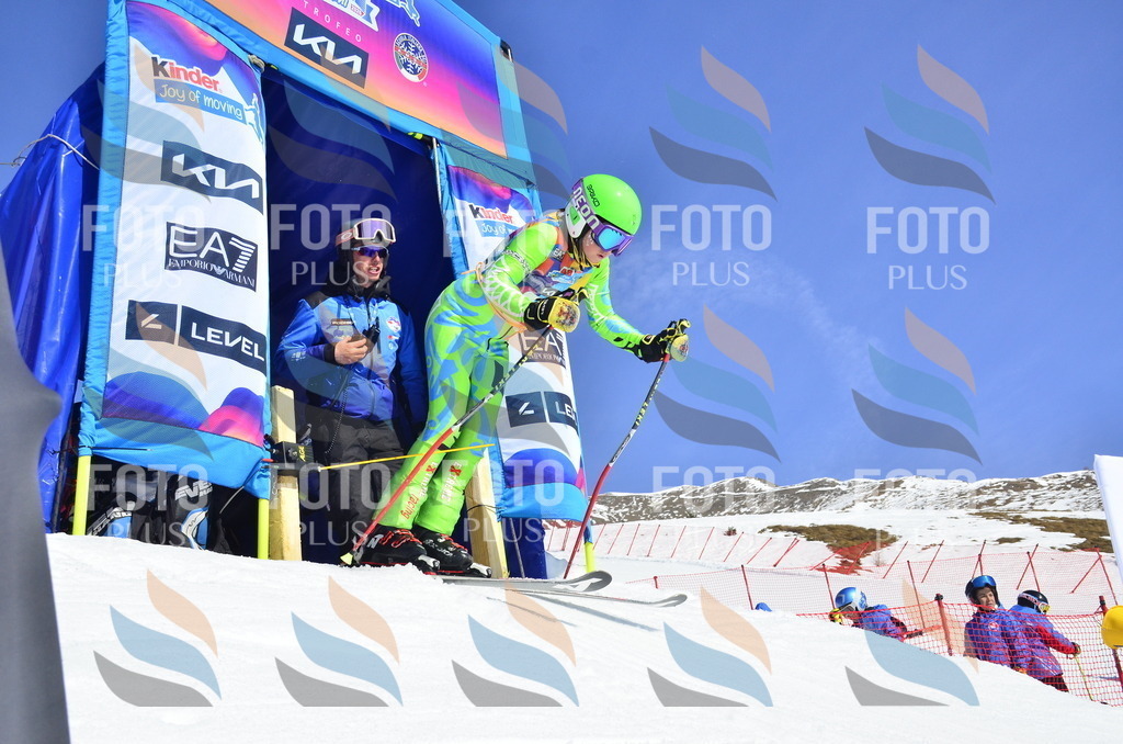 _ELE0378 | holidayphoto