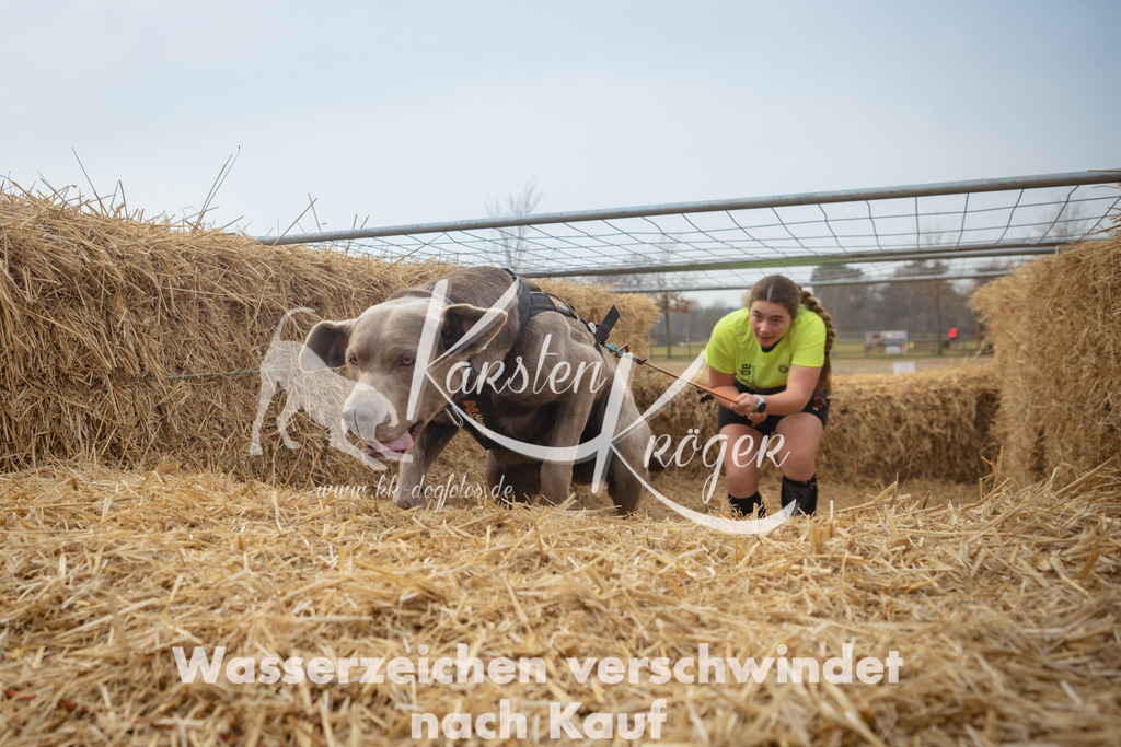 1001_ZZ91791 | kk-dogfotos