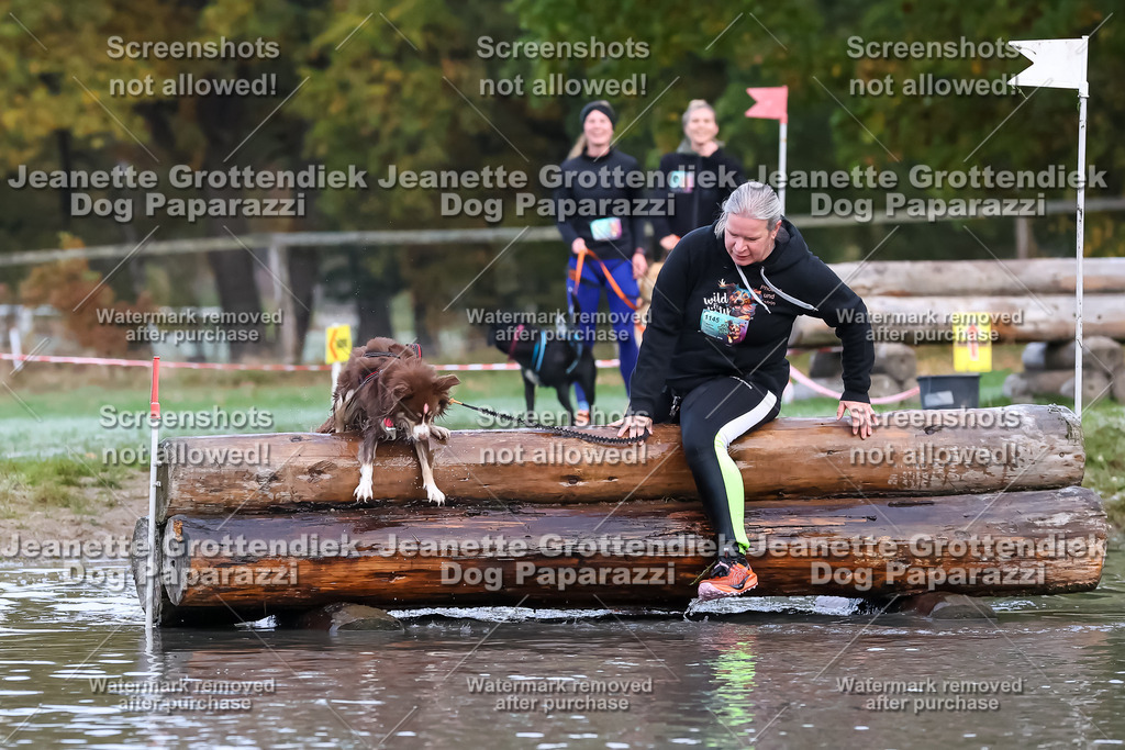 Dog Paparazzi - Strongdog 10-25-6293 | Dog Paparazzi Jeanette Grottendiek Fotografie & Videografie - Realisiert mit Pictrs.com