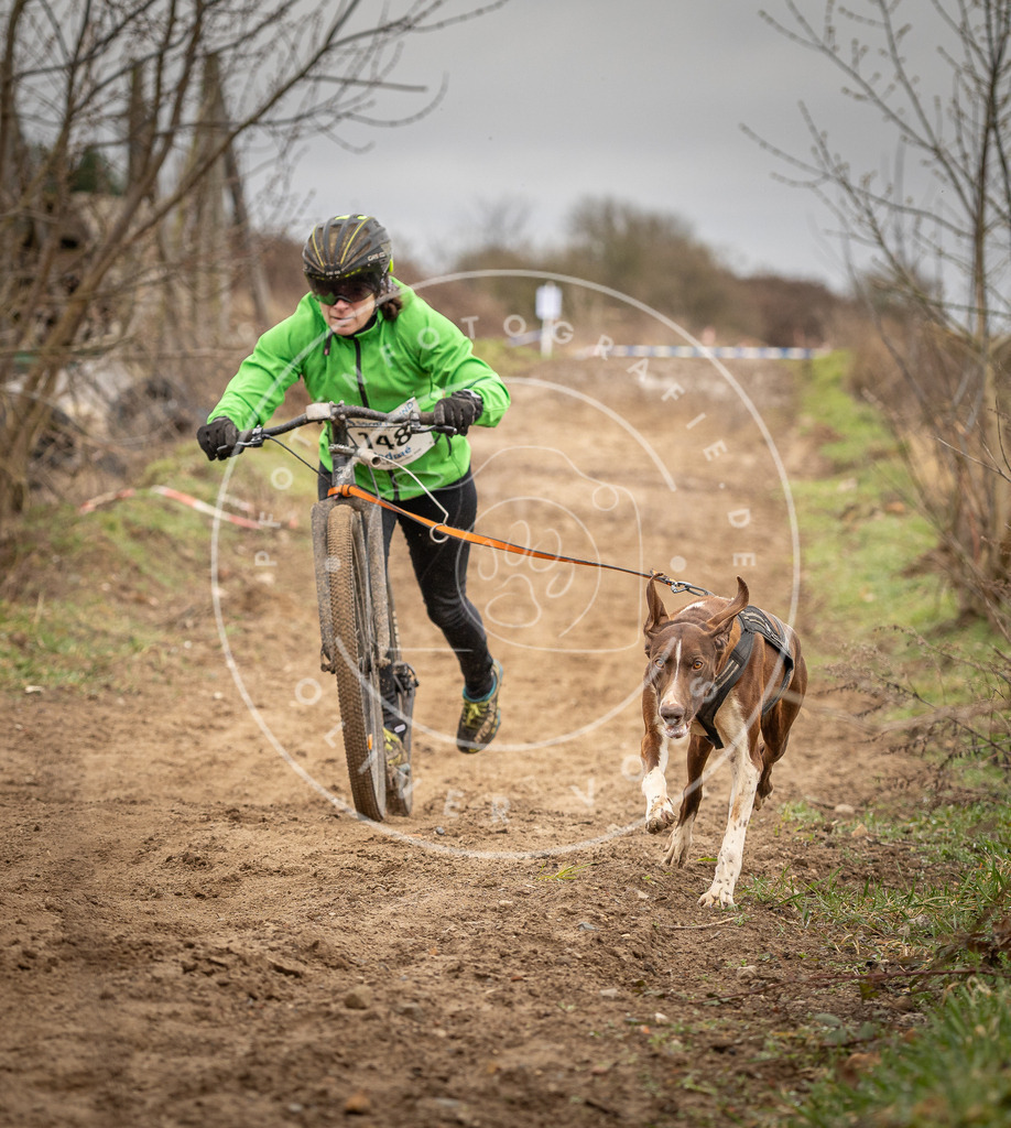 DV3A1493 | Hundefotografie, Tierfotograf, Pfotenfotografie, Fotoshooting Hund, Hunde Portrait, Hundesport, Hundeportraits, Heideshooting, Hunde, Sportfotograf, Hundefotograf, Turnierhundsport, THS,  - Realisiert mit Pictrs.com