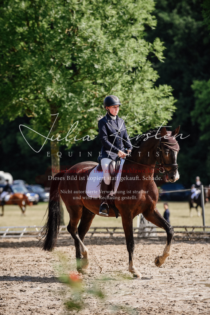 DSC_0131 | Pferde- und Turnierfotografie in Westsachsen. Pferdeportraits, Auftragszeichnungen und intuitive Kunst.
