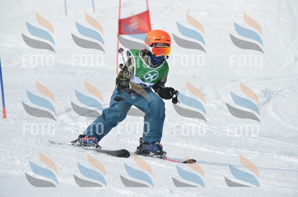 D8623 | holidayphoto