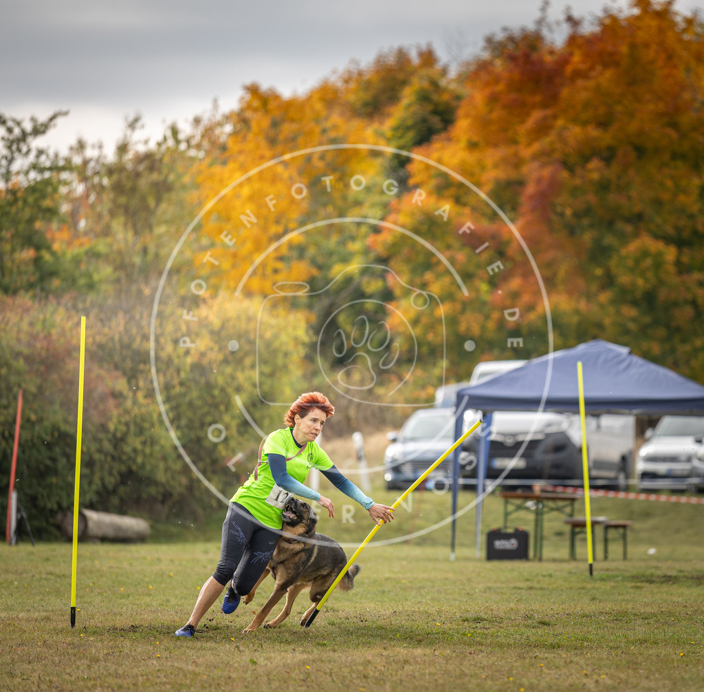 Pfotenfotografie_DV3A6986 | Hundefotografie, Tierfotograf, Pfotenfotografie, Fotoshooting Hund, Hunde Portrait, Hundesport, Hundeportraits, Heideshooting, Hunde, Sportfotograf, Hundefotograf, Turnierhundsport, THS,  - Realisiert mit Pictrs.com