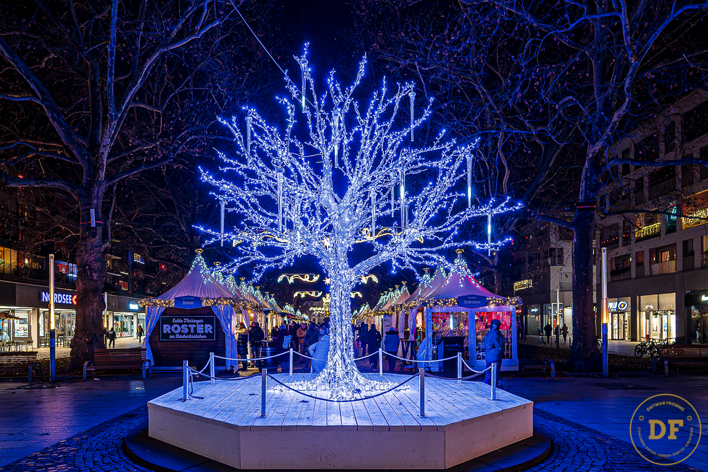 Weihnachtsmarkt Augustusmarkt Dresden | Blauer Baum