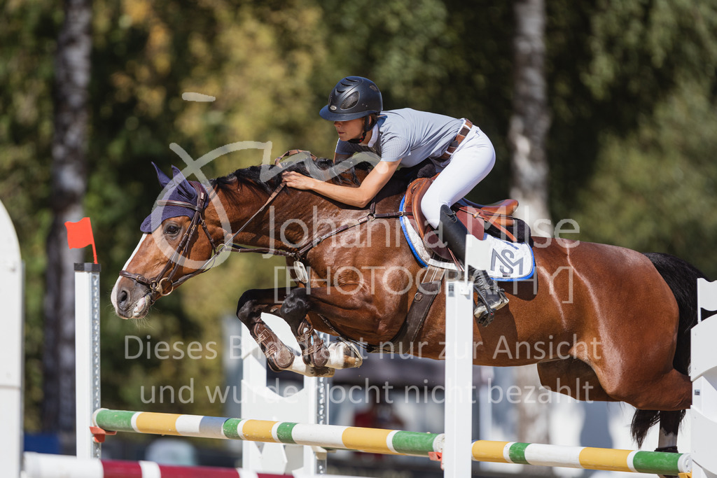 220824_Delbrueck_Stil-M1-231 | Deine schönsten Turniermomente als professionelle Fotos! Entdecke hochwertige Pferdesport-Fotografie im Online-Shop. Jetzt Fotos finden & bestellen!