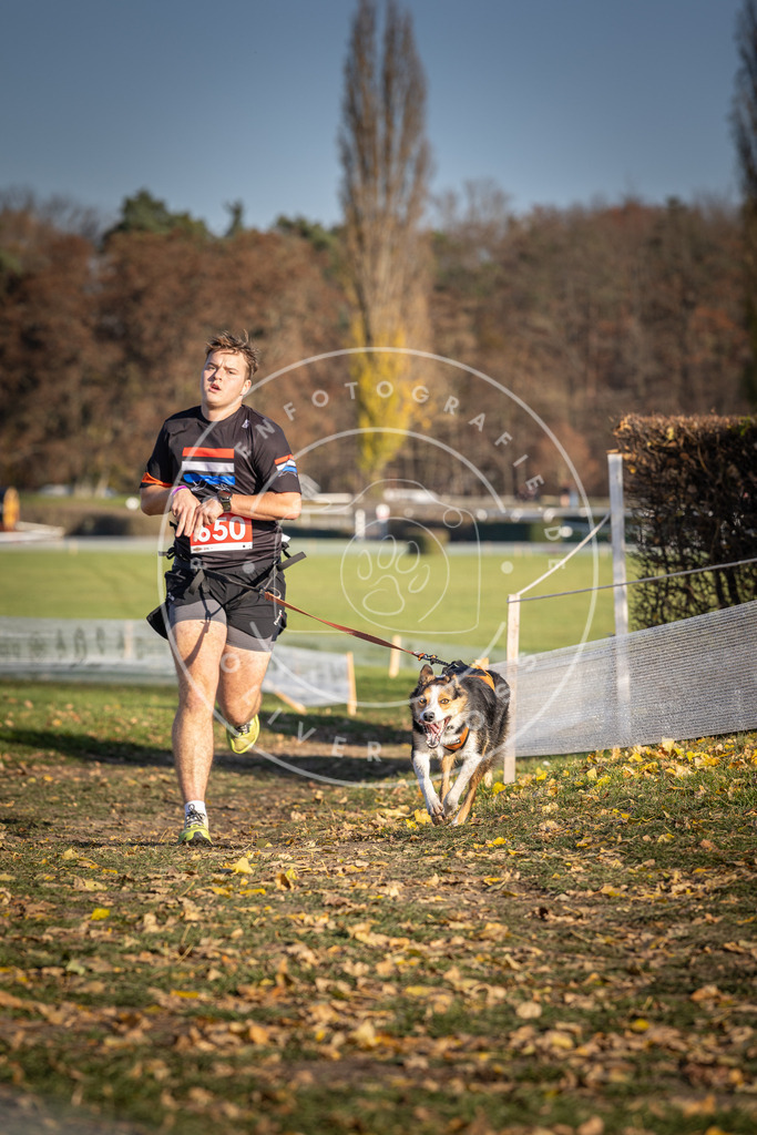 CaniXpix_DV3A0503 | Hundefotografie, Tierfotograf, Pfotenfotografie, Fotoshooting Hund, Hunde Portrait, Hundesport, Hundeportraits, Heideshooting, Hunde, Sportfotograf, Hundefotograf, Turnierhundsport, THS,  - Realisiert mit Pictrs.com