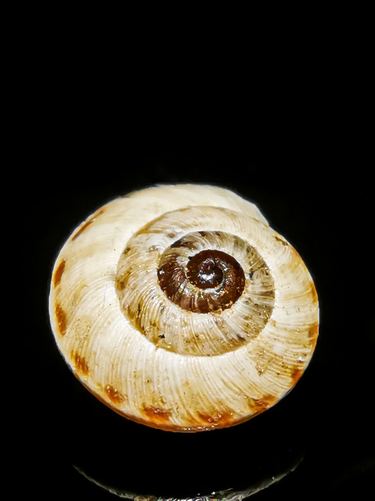 PSX_20230308_233502 | mtkfoto_ - Realisiert mit Pictrs.com