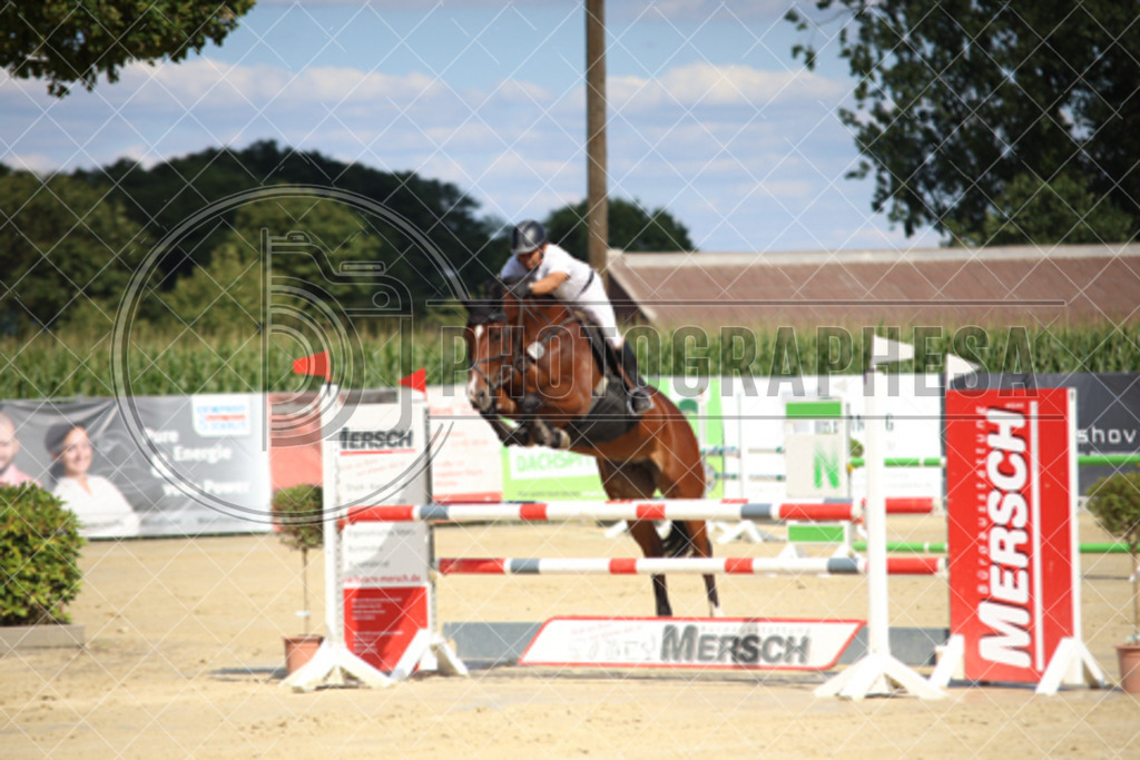 P64A8609 | photographesa-joergens - Realisiert mit Pictrs.com