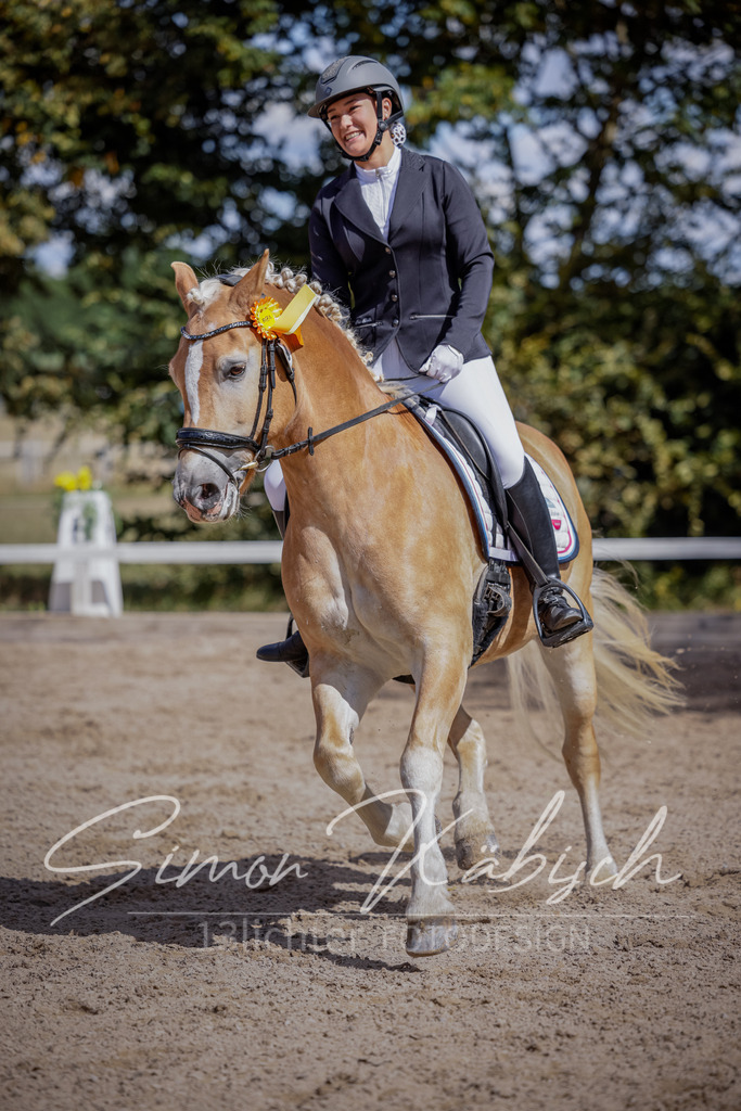20250906-_3LI5878 | Tierfotografie Pferde, Hunde, Katzen, Haustiere.
Turnierfotografie Reitturniere, Reiten, Springreiten, Dressur in Hanau, dem Main-Kinzig-Kreis und dem Rhein-Main- Gebiet um Frankfurt