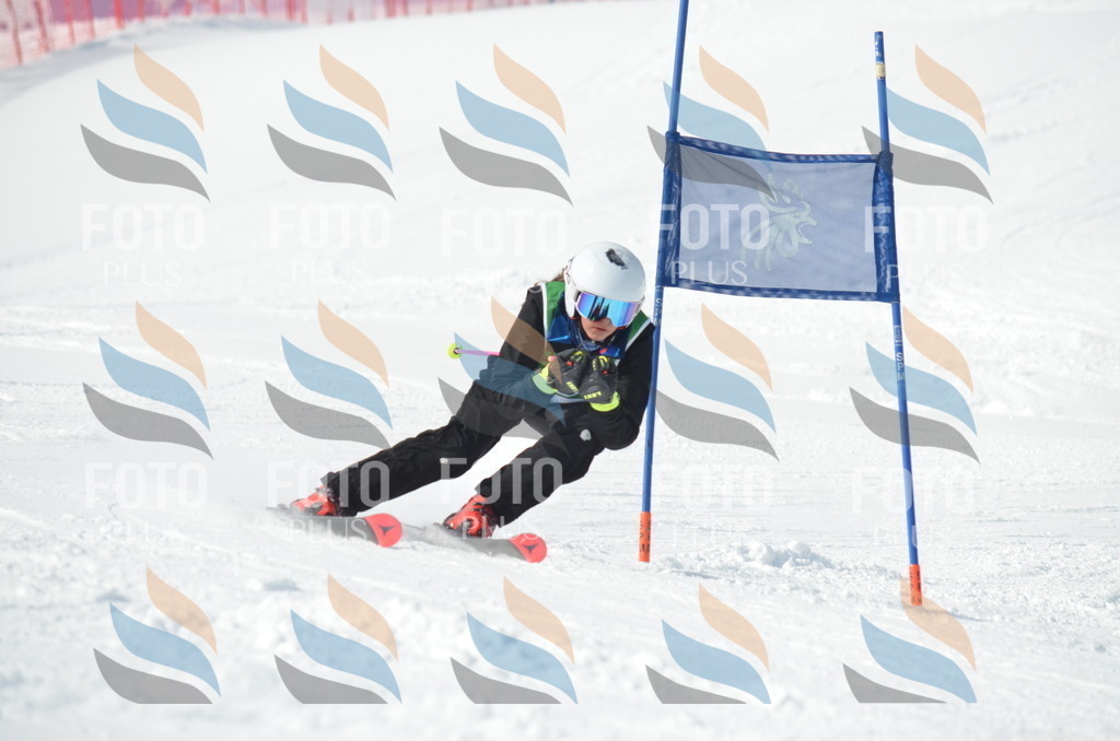 D8738 | holidayphoto