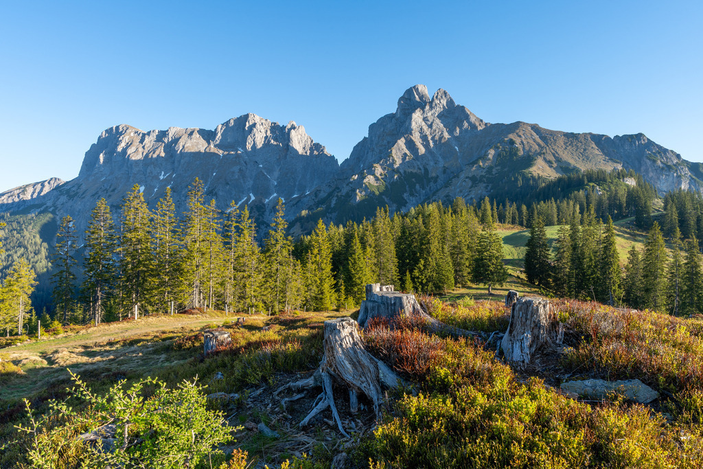 Reichensteingruppe im Frühling | walter-wagner-fotografie