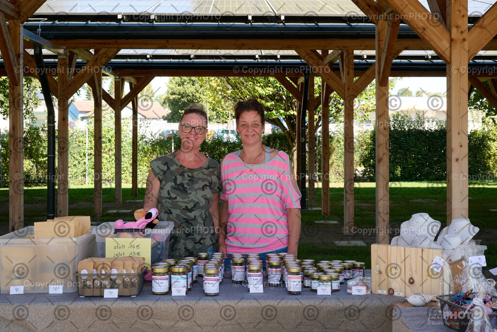 023_202509_4Hundebadetag_NZ9_2105 | proPHOTO - Realisiert mit Pictrs.com