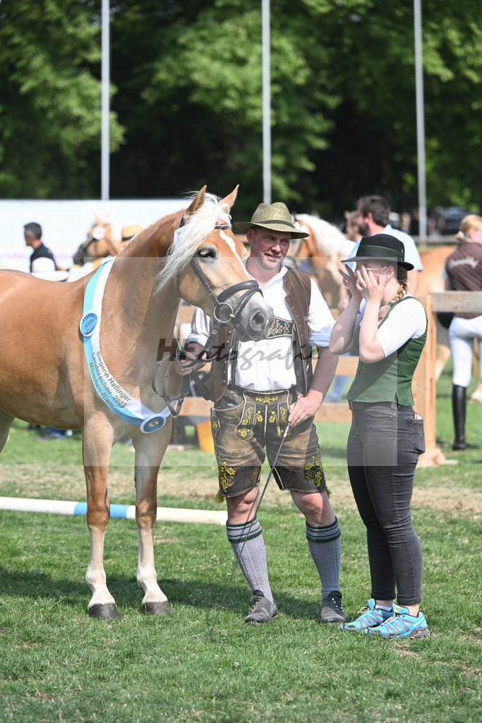 Kat-Nr. 9 Giorgia G_Grandauer_20231506 | hf-fotografie - Realisiert mit Pictrs.com