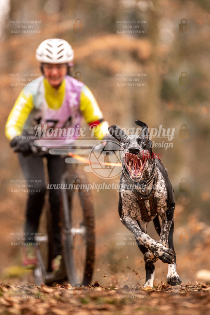 AKM_ST_2023_SAM_Scooter-46 | PayLife