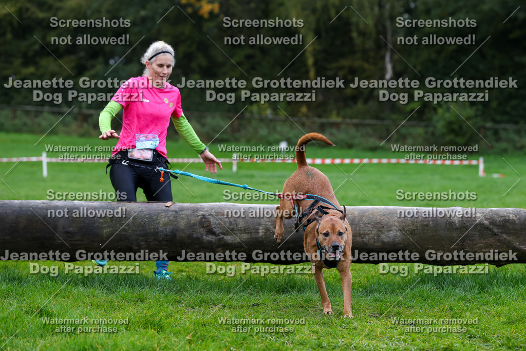Dog Paparazzi -  SD1026-1332 | Dog Paparazzi Jeanette Grottendiek Fotografie & Videografie - Realisiert mit Pictrs.com