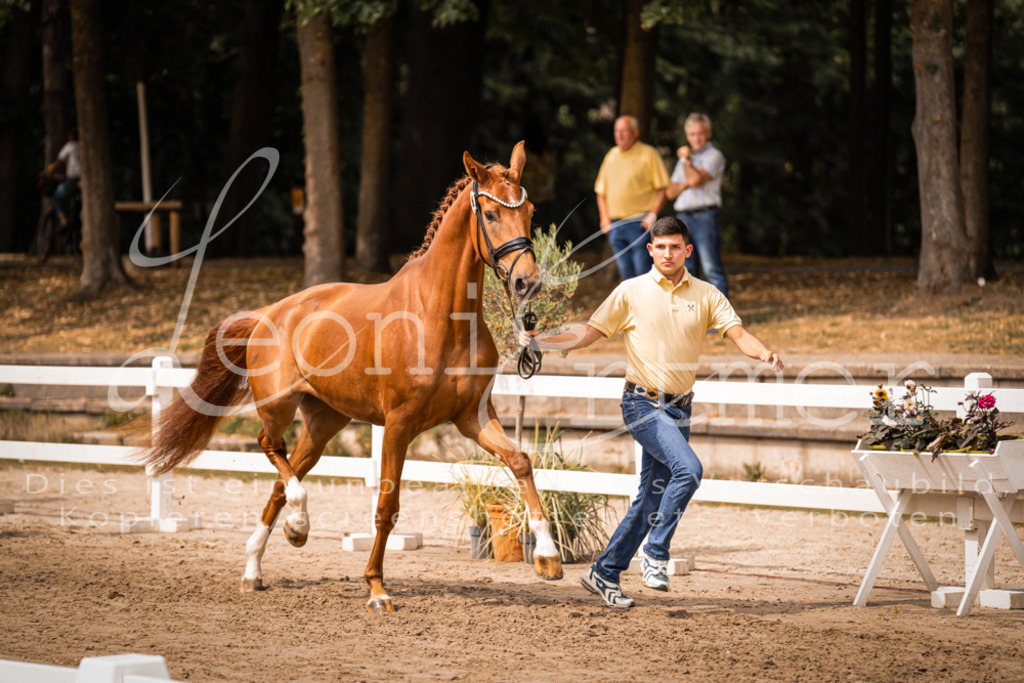 5.Fr00017 | Leoni Ertmer Photography - Realisiert mit Pictrs.com