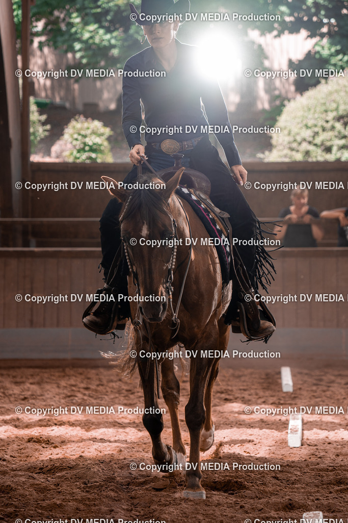 NE100570 | dv-media-shop - Realisiert mit Pictrs.com