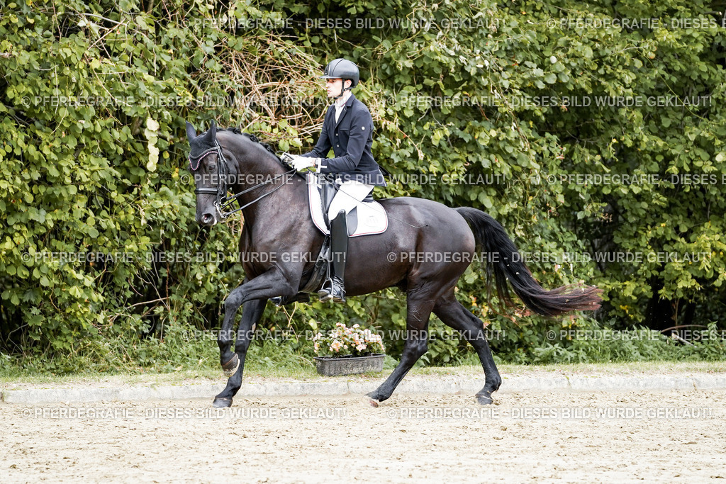 DSC05670 | Pferdegrafie