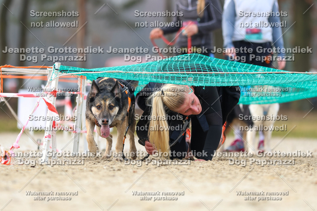 Dog Paparazzi - Strongdog North Mrz26-4159 | Dog Paparazzi Jeanette Grottendiek Fotografie & Videografie - Realisiert mit Pictrs.com