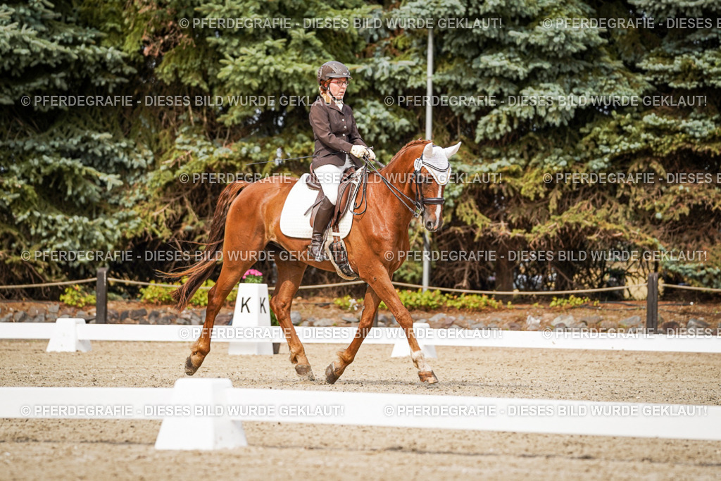 DSC06009 | Pferdegrafie