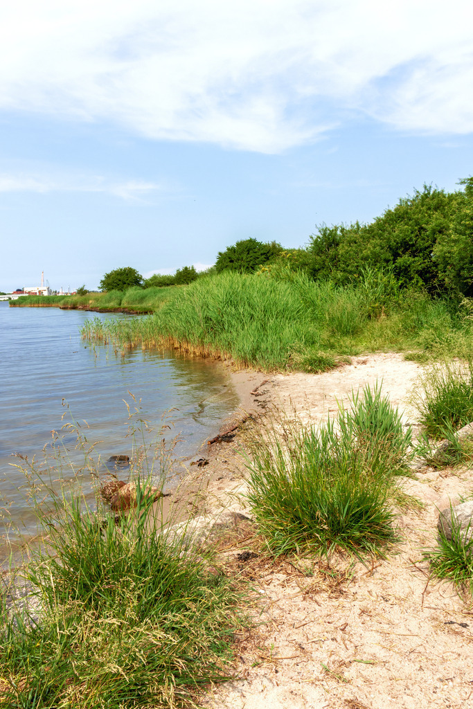 Wandbild: Uferbereich in Winnemark an der Schlei | Dieses Wandbild im Hochformat zeigt den Uferbereich in Winnemark an der Schlei. Im Vordergrund wachsen Gräser auf dem Sand. In der Ferne kann man beim genauen Betrachten Arnis auf der anderen Uferseite erkennen. Am blauen Himmel befinden sich einige Schleierwolken.  - Realisiert mit Pictrs.com