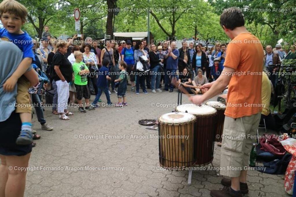 IMG_5058 | aragon-pics - Realisiert mit Pictrs.com