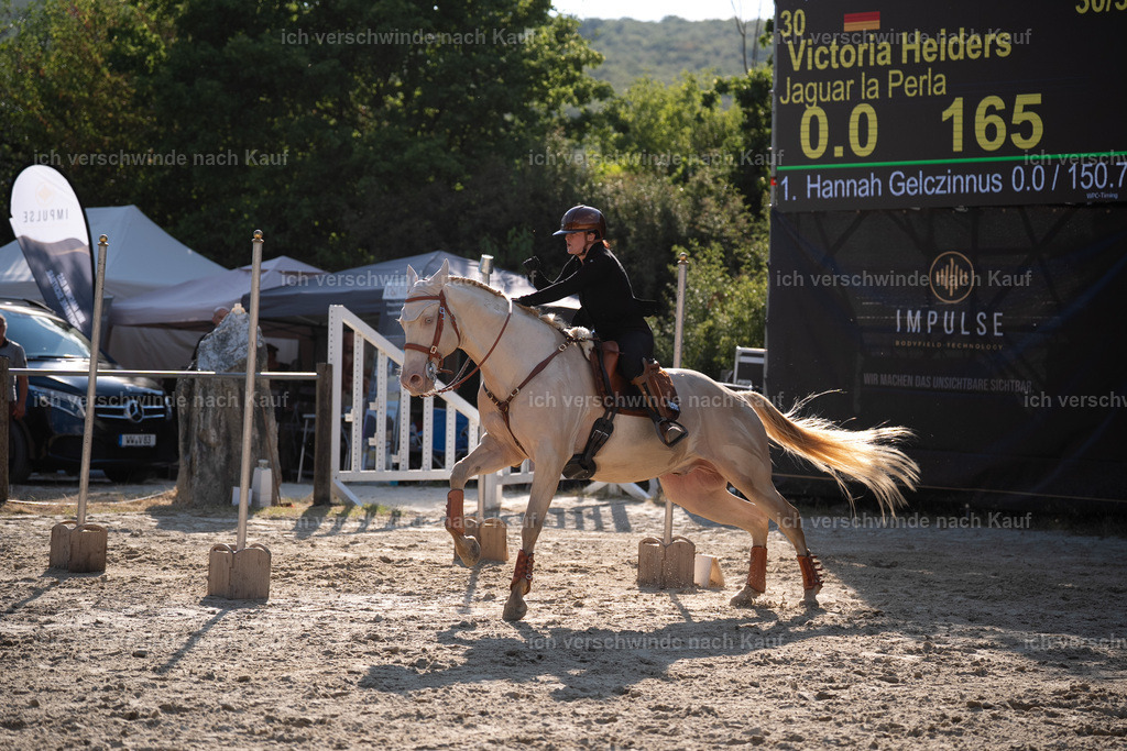 WS_SP_65_Stoibphotography_SO12131 | working equitationturnier fotograf videograf stoibphotography marixx film working equitation deutschland reitsport turnierfotografie eventfotografie equestrian events
