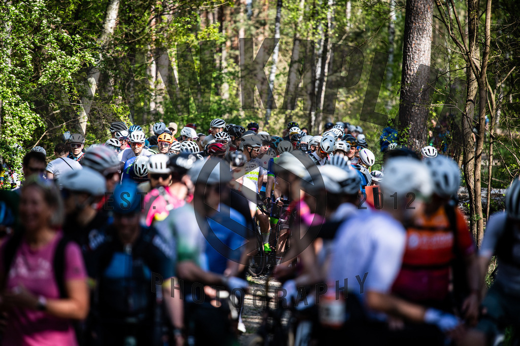 DKP-1780 | Drew Kaplan Photography