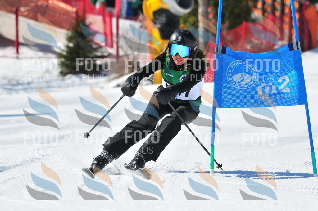 C4008 | holidayphoto