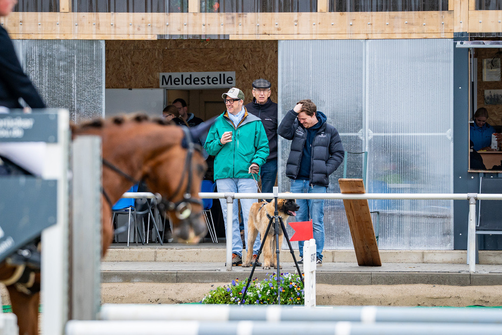 DSC02468 | Pferdegrafie