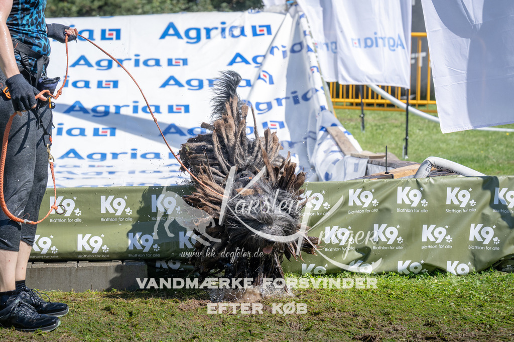 1206_ZZ94825 | kk-dogfotos