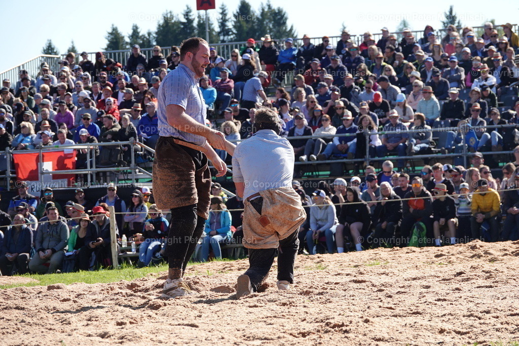 DSC00895 | Schwingen - Realisiert mit Pictrs.com