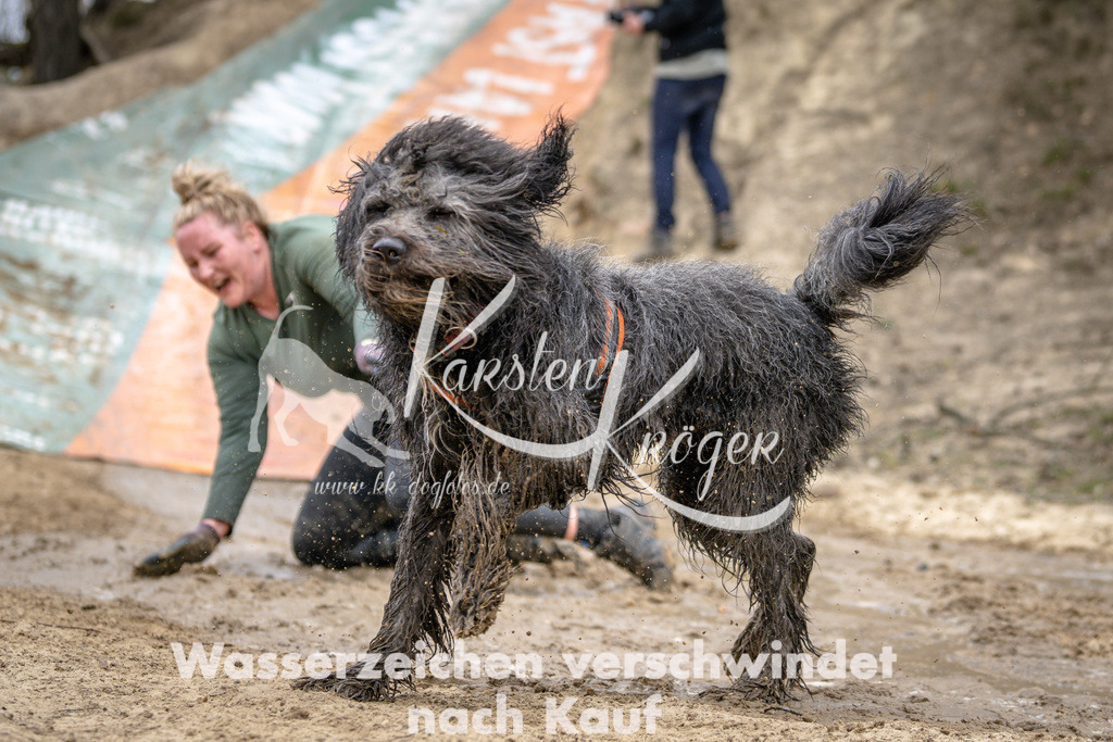 1253DSC_3921 | kk-dogfotos