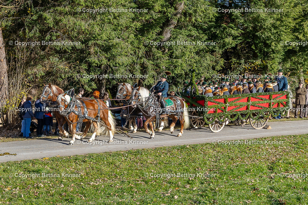 LBT25-146 | foto-bettina-krinner - Realisiert mit Pictrs.com