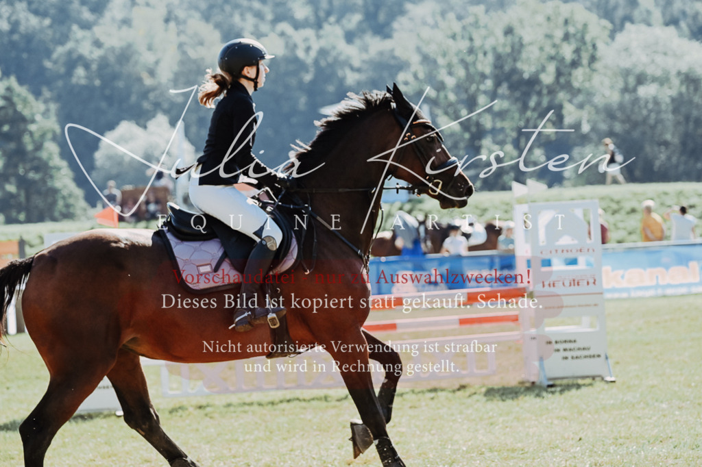DSC_5629 | Pferde- und Turnierfotografie in Westsachsen. Pferdeportraits, Auftragszeichnungen und intuitive Kunst.