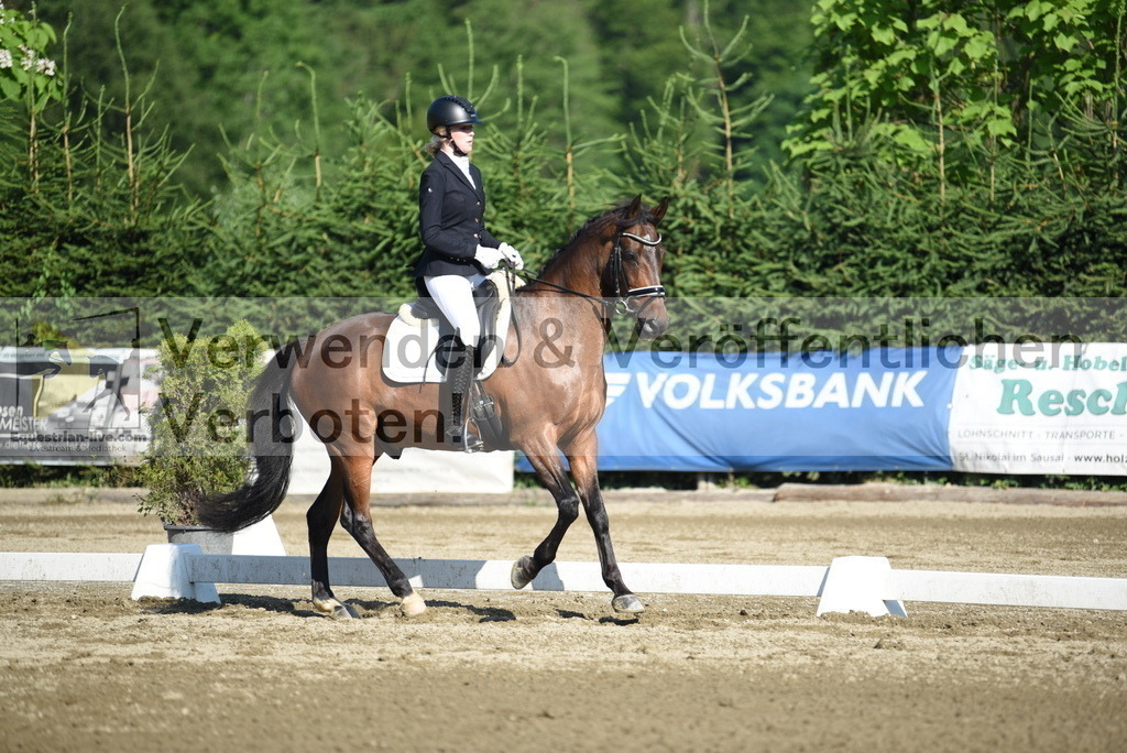 DSC_7156 | equestrian-live-com