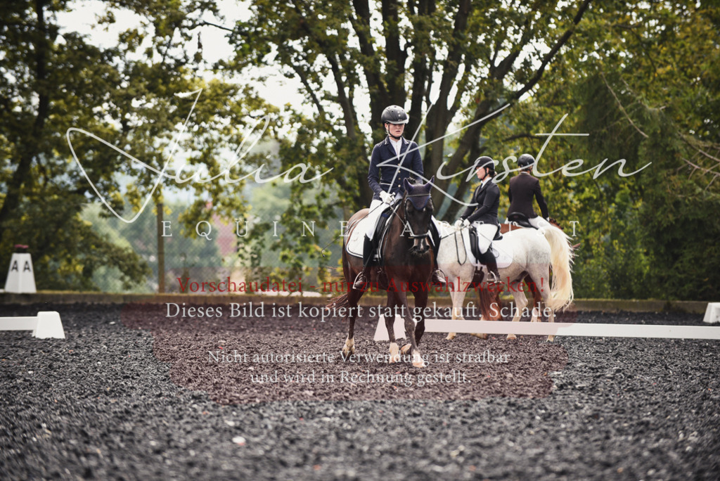 DSC_3949 | Pferde- und Turnierfotografie in Westsachsen. Pferdeportraits, Auftragszeichnungen und intuitive Kunst.