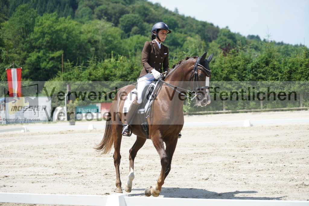 DSC05071 | equestrian-live-com