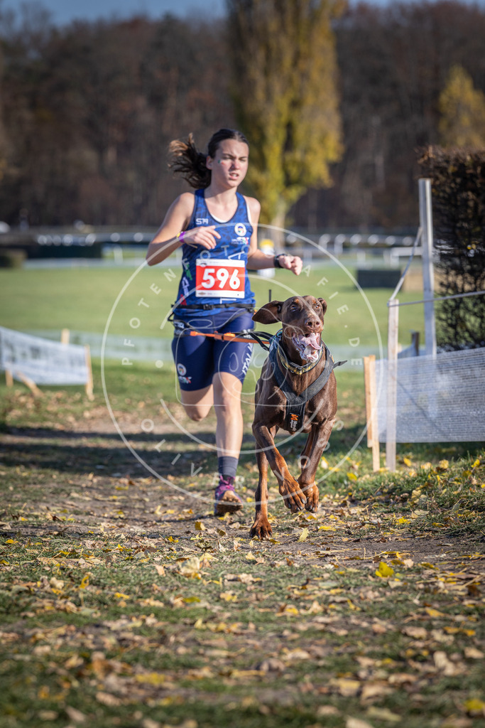 CaniXpix_DV3A9393 | Hundefotografie, Tierfotograf, Pfotenfotografie, Fotoshooting Hund, Hunde Portrait, Hundesport, Hundeportraits, Heideshooting, Hunde, Sportfotograf, Hundefotograf, Turnierhundsport, THS,  - Realisiert mit Pictrs.com