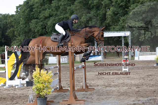 16.8.25 SPR L (472 von 1074) | mandyhollmannphotographie