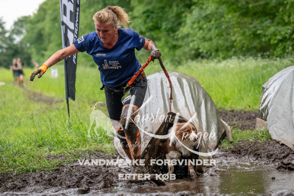 1543_ZZ94997-Bearbeitet | kk-dogfotos