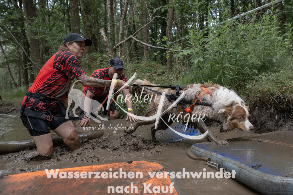 1327_ZZ94110 | kk-dogfotos