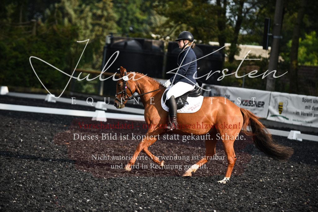 DSC_3439 | Pferde- und Turnierfotografie in Westsachsen. Pferdeportraits, Auftragszeichnungen und intuitive Kunst.