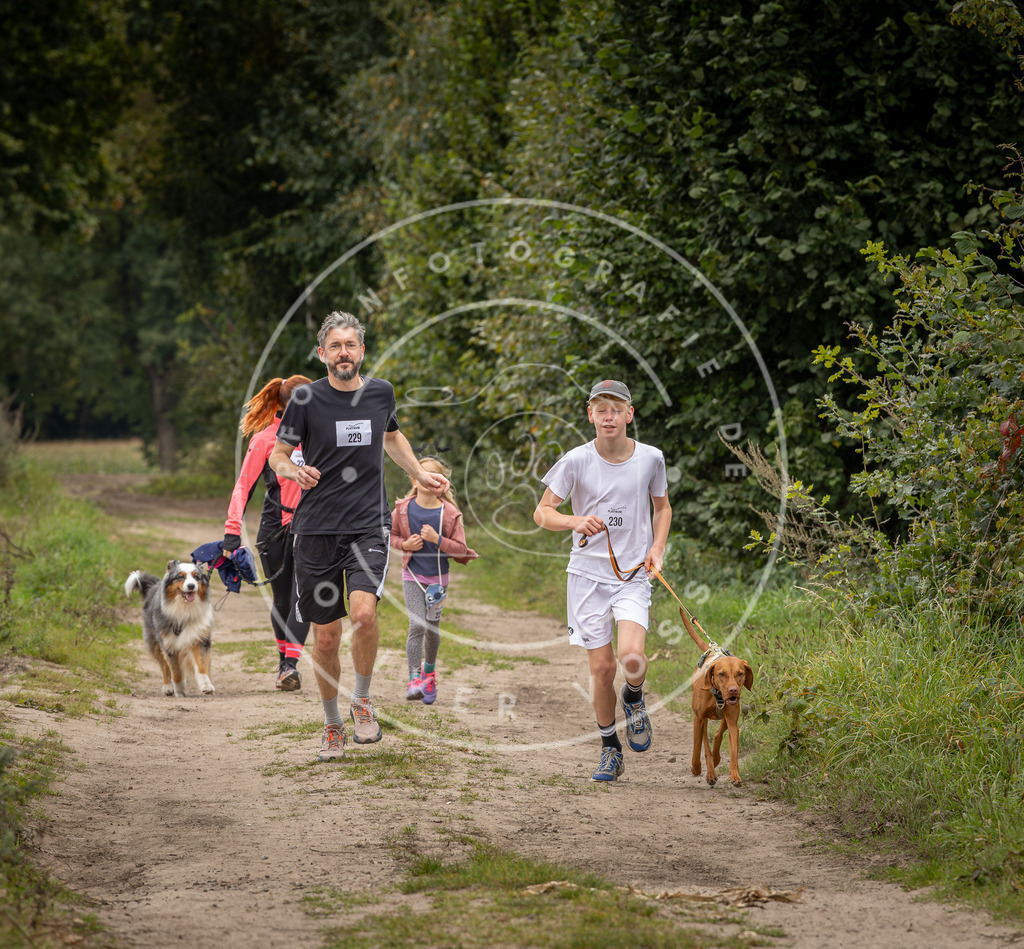 Pfotenfotografie_DV3A7693 | Hundefotografie, Tierfotograf, Pfotenfotografie, Fotoshooting Hund, Hunde Portrait, Hundesport, Hundeportraits, Heideshooting, Hunde, Sportfotograf, Hundefotograf, Turnierhundsport, THS,  - Realisiert mit Pictrs.com