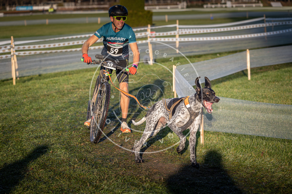 CaniXpix_0L8A3086 | Hundefotografie, Tierfotograf, Pfotenfotografie, Fotoshooting Hund, Hunde Portrait, Hundesport, Hundeportraits, Heideshooting, Hunde, Sportfotograf, Hundefotograf, Turnierhundsport, THS,  - Realisiert mit Pictrs.com