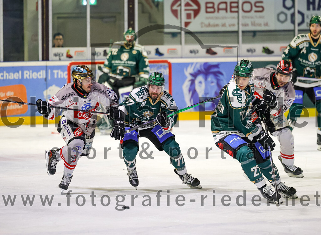 2026-02-08_099_TSV_Erding_gegen_ECDC_Memmingen_Indians | Erding, Deutschland, 08.02.2026:Eishockey, Oberliga Süd 2025 / 2026, 45. Spieltag, TSV Erding gegen ECDC Memmingen Indians, Endergebnis: Philipp Michl (Erding Gladiators, #77), Mark Waldhausen (Erding Gladiators, #27)Foto: Christian Riedel / fotografie-riedel.net